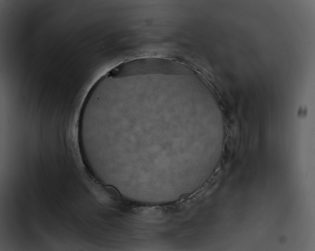 X0000102850100200809081253