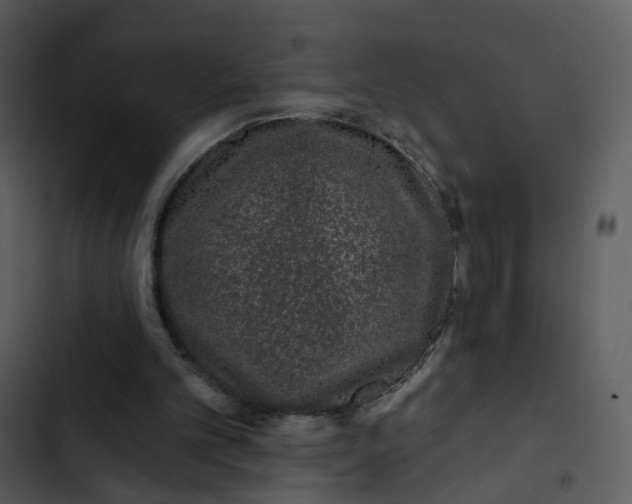 X0000102850101200809081253