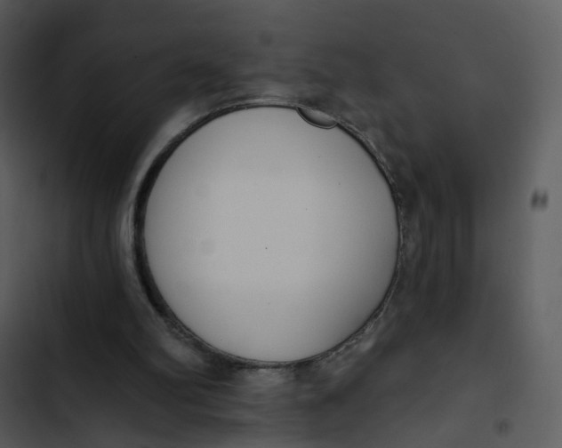 X0000102850102200809081253