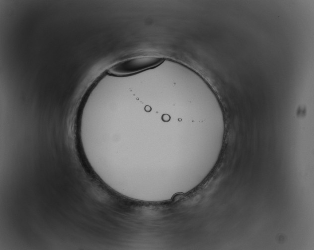 X0000102850103200809081253