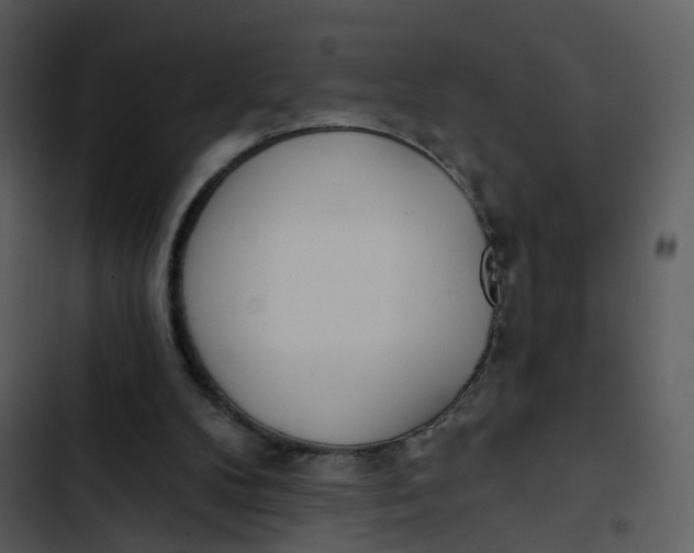 X0000102850104200809081253