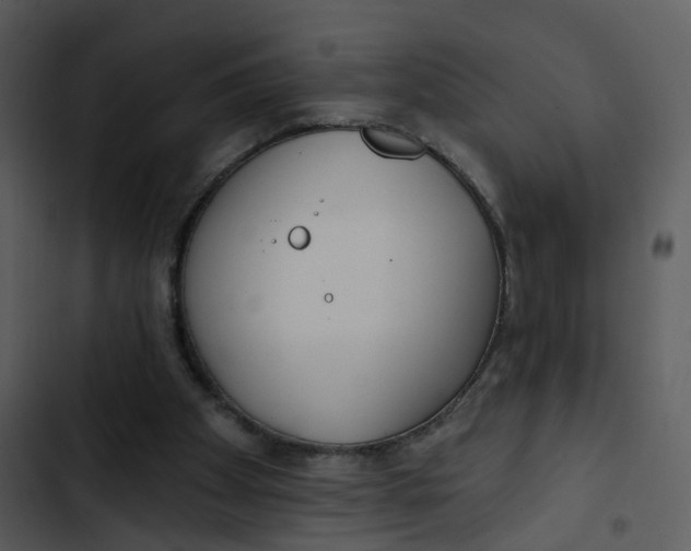 X0000102850105200809081253