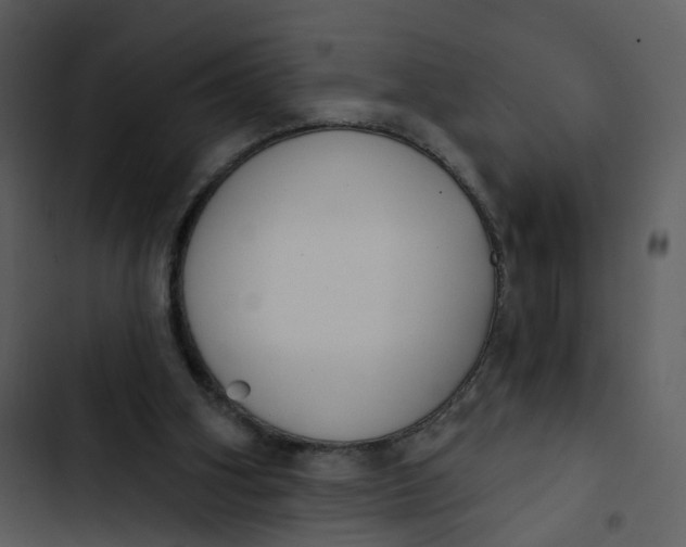 X0000102850106200809081253