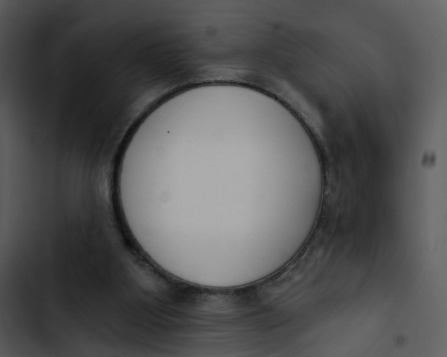 X0000102850107200809081253