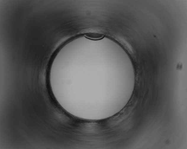 X0000102850108200809081253