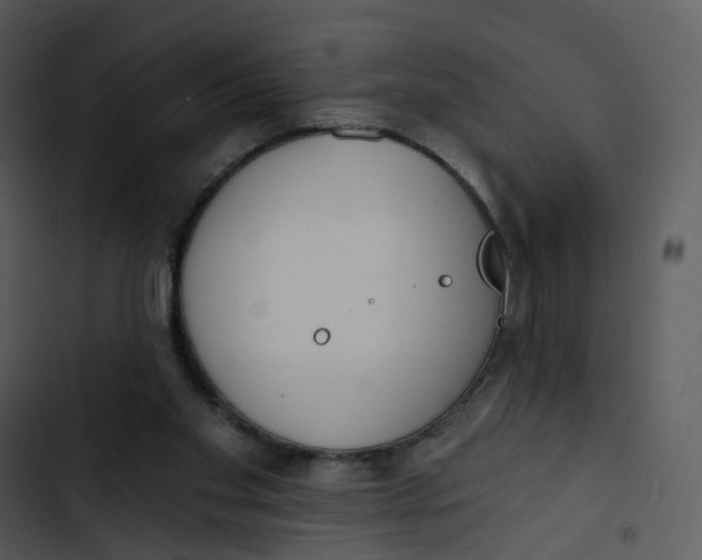 X0000102850109200809081253