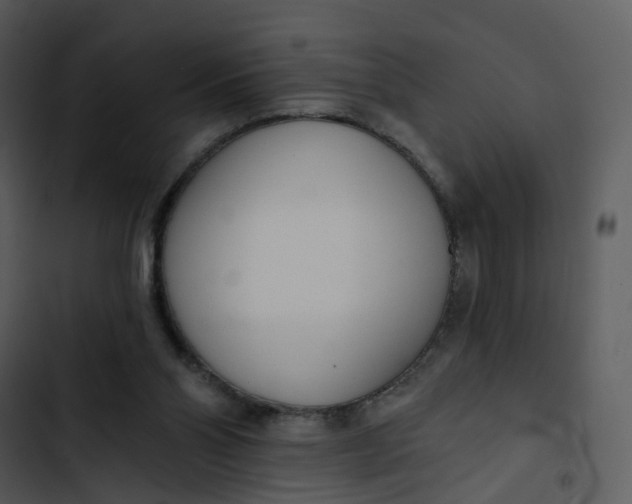 X0000102850110200809081253