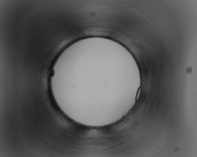 X0000102850111200809081253