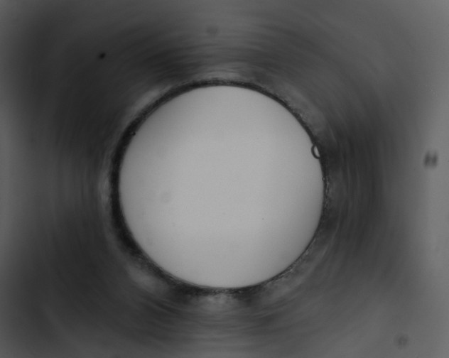 X0000102850112200809081253