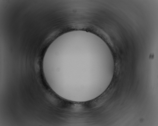 X0000102850114200809081253