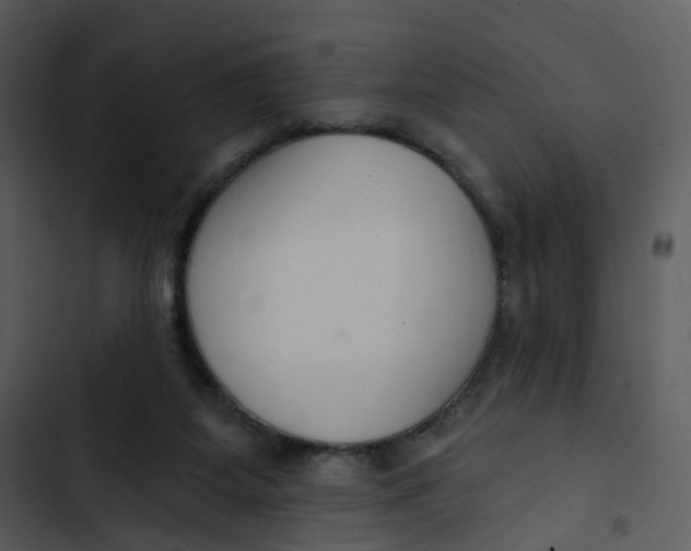 X0000102850115200809081253