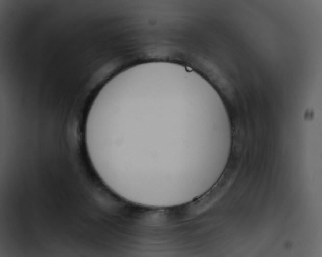 X0000102850116200809081253