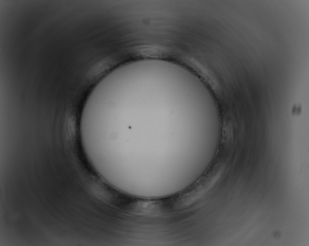 X0000102850117200809081253