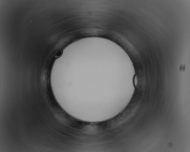 X0000102850119200809081252