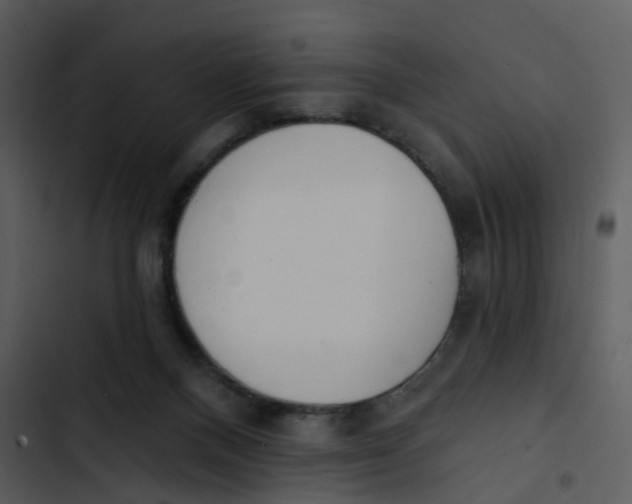 X0000102850120200809081252