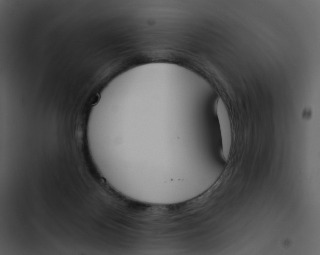 X0000102850124200809081252