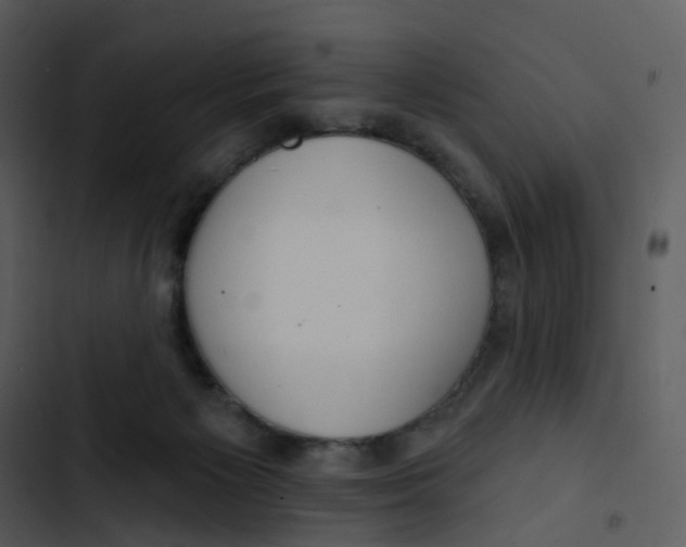 X0000102850125200809081252