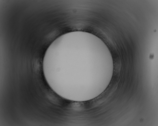 X0000102850126200809081252