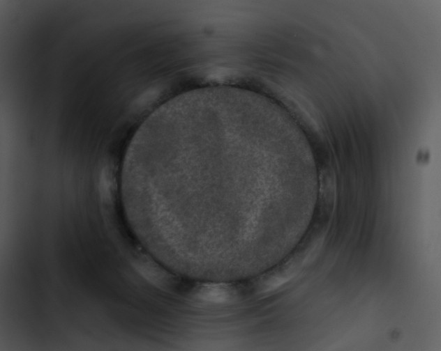 X0000102850127200809081252