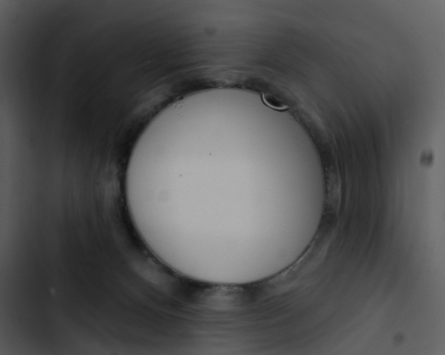 X0000102850128200809081252