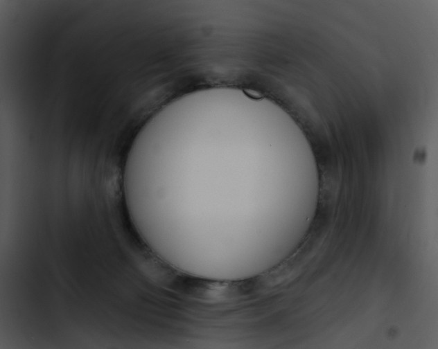 X0000102850130200809081252