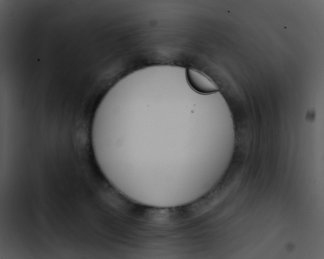 X0000102850131200809081252