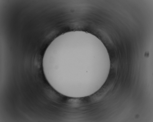 X0000102850133200809081252