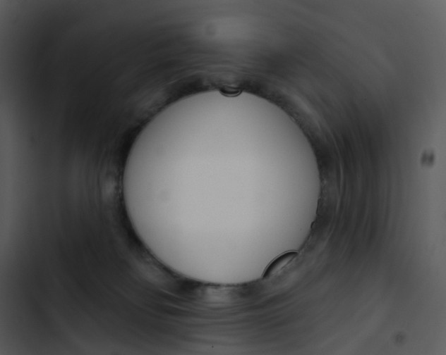 X0000102850134200809081252