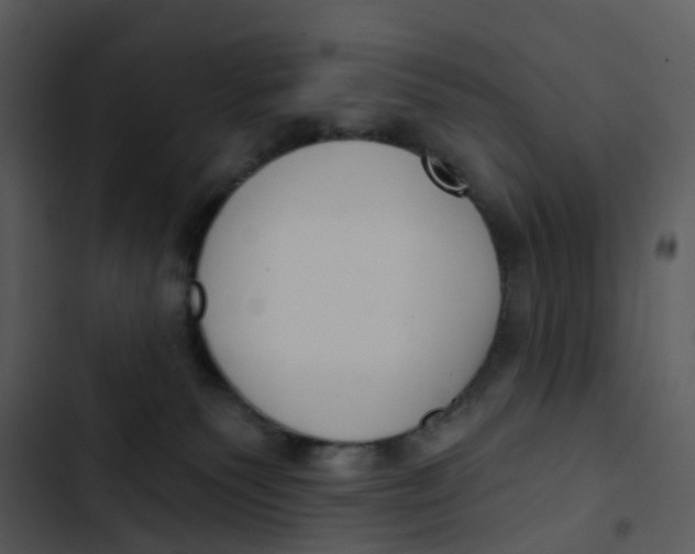 X0000102850135200809081252