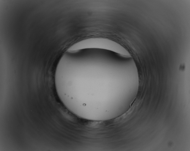 X0000102850136200809081252