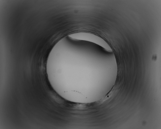 X0000102850140200809081252