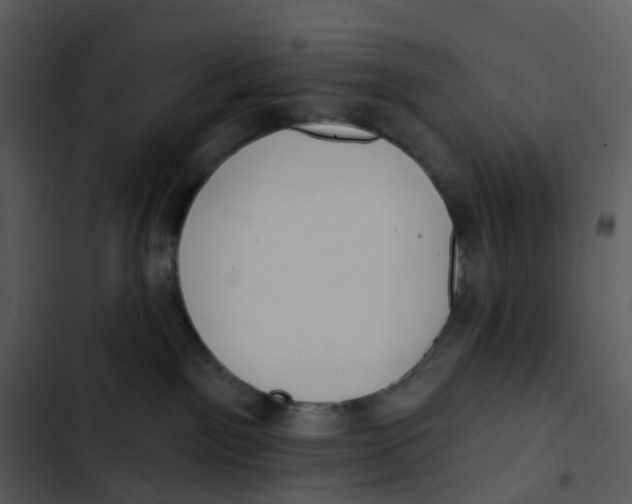 X0000102850141200809081252