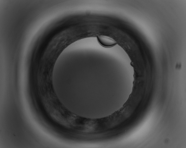 X0000102850143200809081252