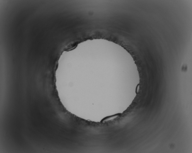 X0000102850144200809081252