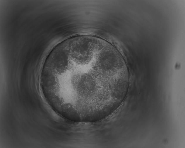 X0000102850145200809081251