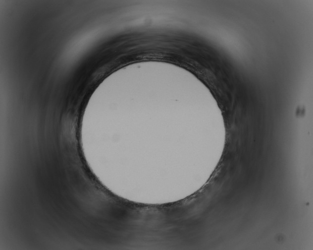 X0000102850146200809081251