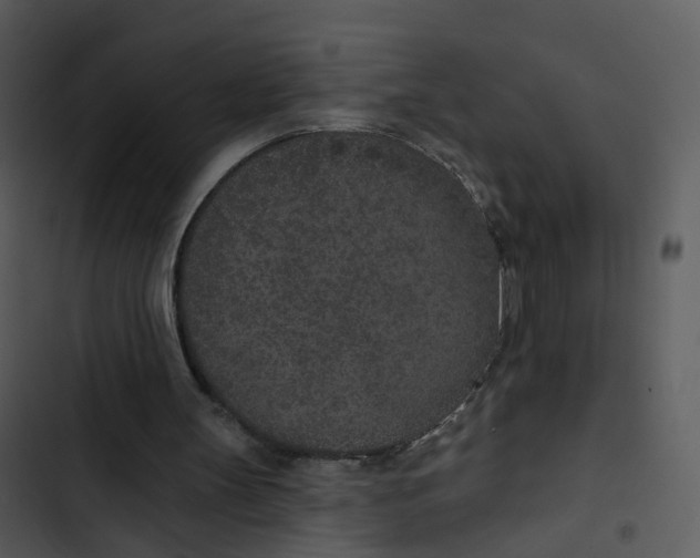 X0000102850147200809081251