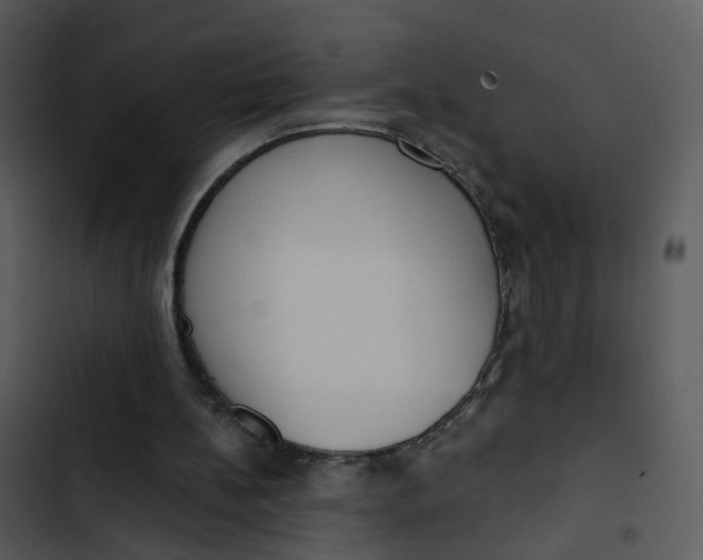 X0000102850148200809081252