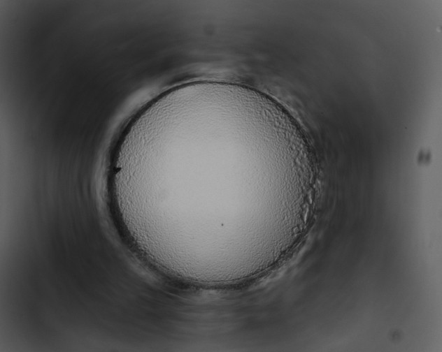 X0000102850149200809081252