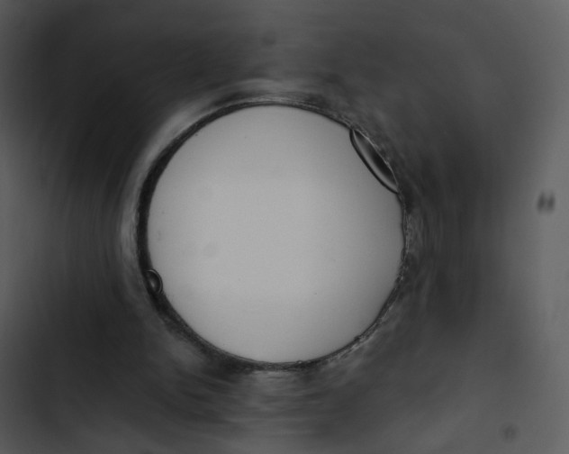 X0000102850150200809081252