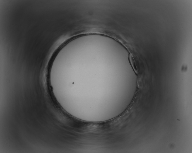 X0000102850152200809081252