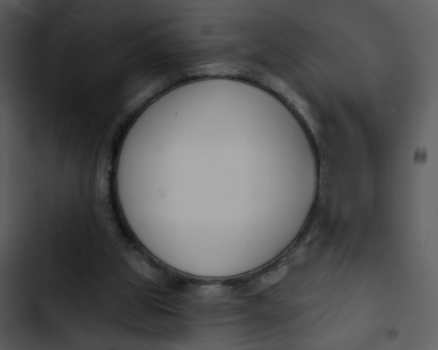 X0000102850153200809081252