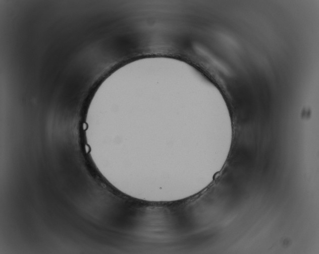 X0000102850154200809081252