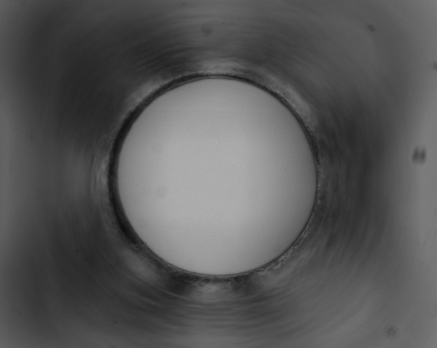 X0000102850155200809081252