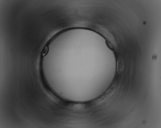 X0000102850156200809081252