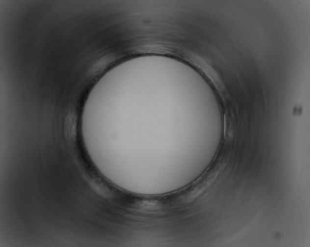 X0000102850157200809081252