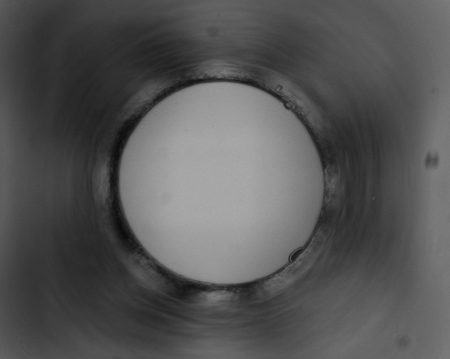 X0000102850158200809081252