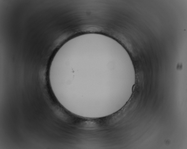 X0000102850159200809081252