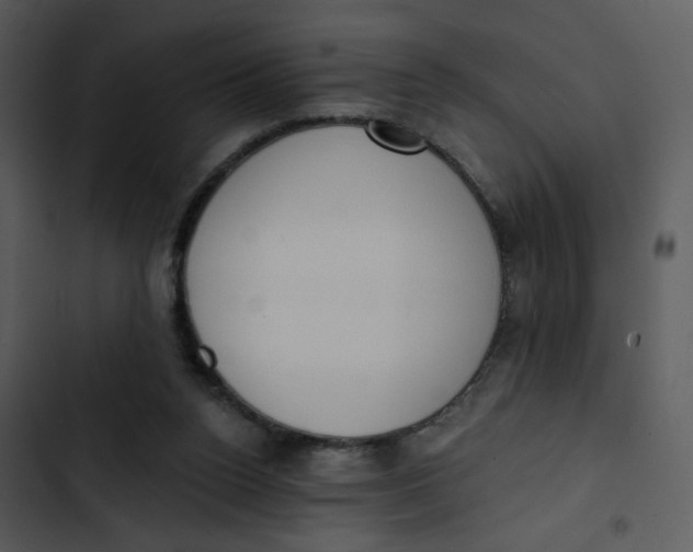 X0000102850160200809081252