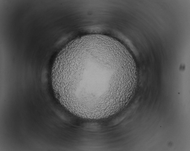 X0000102850161200809081252